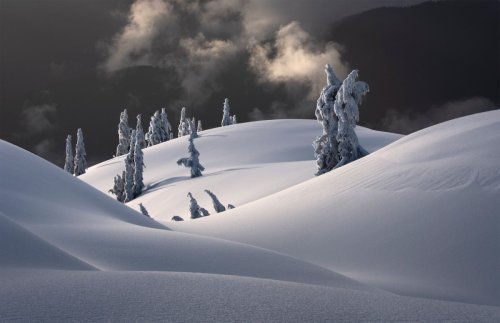 Stunning Winners of Natural Landscape Photography Awards Are All Guaranteed To Be Authentic Images of Our World