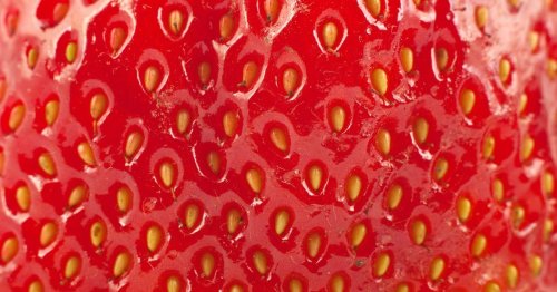 Video of a Strawberry Under a Microscope Will Make Sure You Never Forget to Wash the Fruit Ever Again