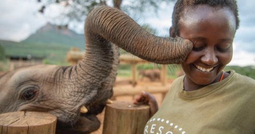 Photographer Shares How a Community in Kenya Came Together to Help Orphaned Elephants [Interview]