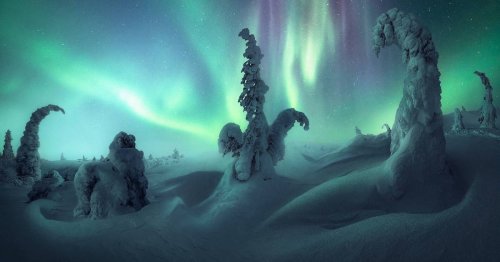 Behold the Best Northern Lights Photographs of 2022