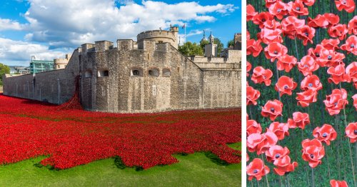 30,000 Ceramic Red Poppies Flow Across the Tower of London’s Lawn
