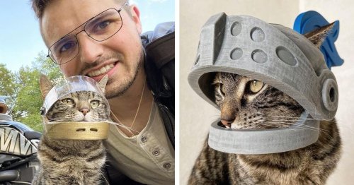 This Guy Designs Custom 3D-Printed Helmets for His Cat and It’s Adorable