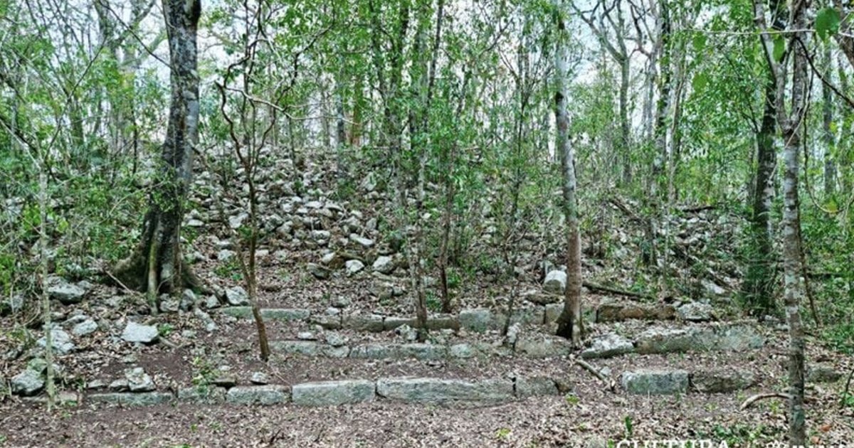 Ancient Maya City Discovered Under Jungle Forests in Mexico After 1,000 Years