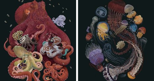 Hyperrealistic Marine Life Portraits Highlight the Ocean’s Incredible Biodiversity