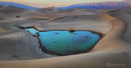 Photographer Captures Rare Photos of Death Valley After Tropical Storm