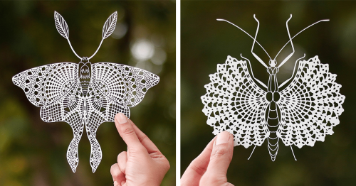 Amazing Hand-Cut Paper Art Mimics the Delicate Effect of Lace