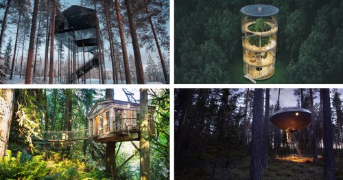 13 Stylish Treehouses for Grown-Ups to Spend a Night In