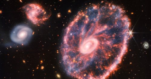 Spectacular 'Cartwheel Galaxy' Captured by James Webb Space Telescope