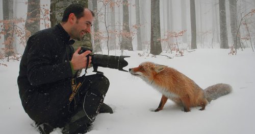Viral Twitter Thread Shows 40 Wild Animals Adorably Interrupting Wildlife Photographers