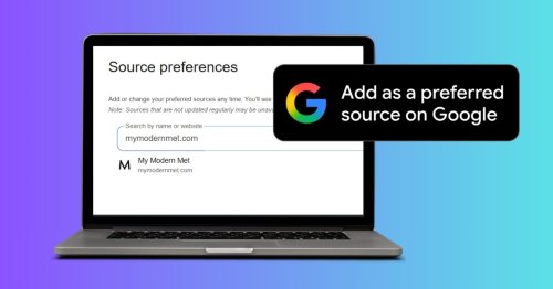 How To Add My Modern Met to Your “Preferred Sources” List on Google