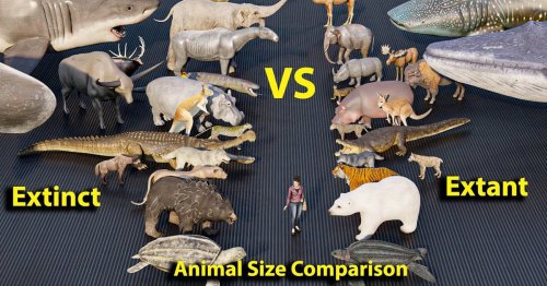Fascinating Animation Compares the Size of Extinct Animas With Their Descendants