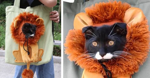 This Whimsical Sling Bag Will Transform Your Cat Into a Lion