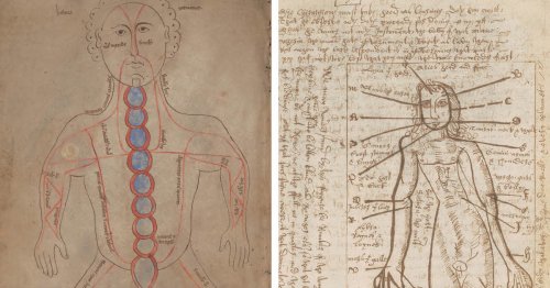 Explore Medieval Medical Recipes Featuring Dove Feces, Fox Lungs, and More
