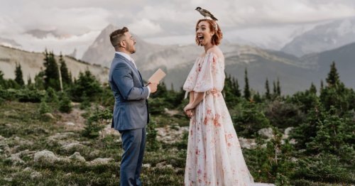 Bird Landing on Bride's Head Wins 2023 International Wedding Photographer of the Year Contest