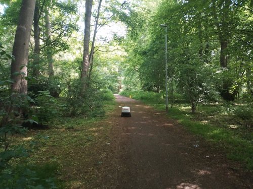 Man Spots Delivery Robot “Lost in the Woods“ and People Have Imaginative Reactions