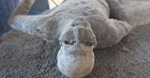 Scientists Successfully Sequence the DNA of a Man From the Pompeii Eruption for the First Time