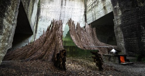 Tree Stump Lined With Mirrors Hides a Decadent Sauna Inside of It
