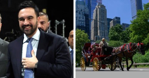 NYC Mayor Zohran Mamdani Vows To Protect Horses by Banning Horse-Drawn Carriages in Central Park