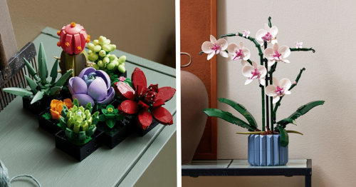 These Sophisticated LEGO Orchid and Succulents Sets Are Designed to Help Adults Unwind