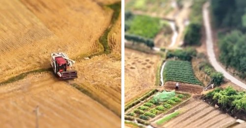 Tilt Shift Video Shows How This Technique Turns the World Into an Adorable Miniature Model