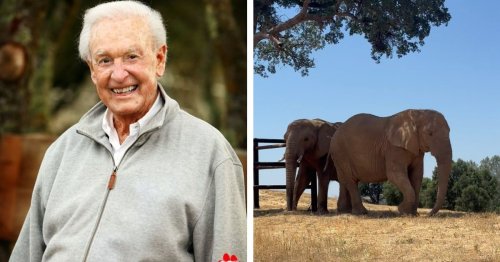 How Bob Barker Used His Influence To Rescue Elephants and Save All Animals