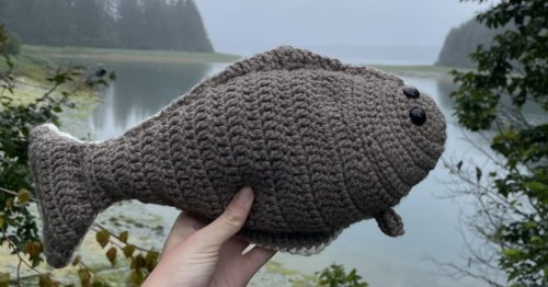 National Park Service Releases Free Crochet Patterns for Adorable Fish Plushies