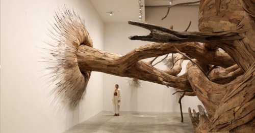 Artist Transforms Gallery Into a Fairy Tale Forest of Twisted Trees