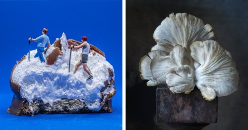 15 Delicious Photos From Acclaimed International Food Photography Competition's Shortlist