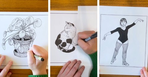 Discover the Four Essentials You’ll Need To Start Drawing Today