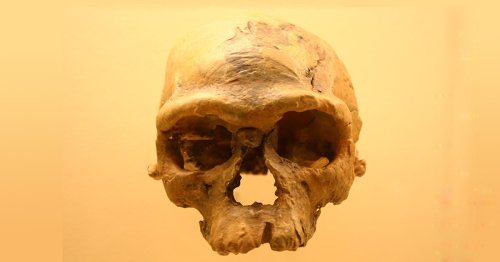 Researchers Discover That Humans Are 33,000 Years Older Than We Thought