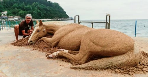 Amazingly Realistic Animal Sand Sculptures Come Alive on Shore