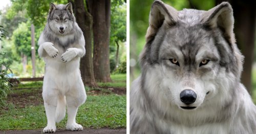 Man Spends $23,000 on a Lifelike Wolf Costume to “No Longer Feel Human”