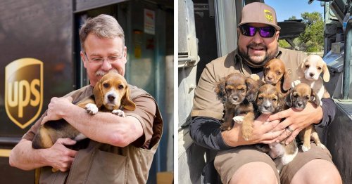 UPS Drivers Are Sharing Adorable Photos of the Dogs They Meet on Their Postal Routes