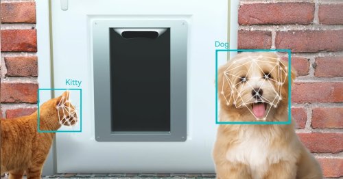 Smart Pet Door Uses AI-Powered Facial Recognition To Allow Only Your Pets Indoors