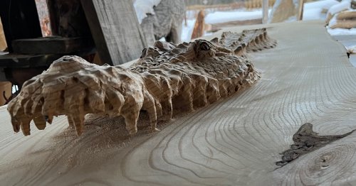 Woodworker Spends 100 Hours Carving a Crocodile Emerging from Wood Bar Top