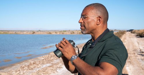 After Wrongful Accusation, New York Birdwatcher Christian Cooper Gets His Own National Geographic TV Show