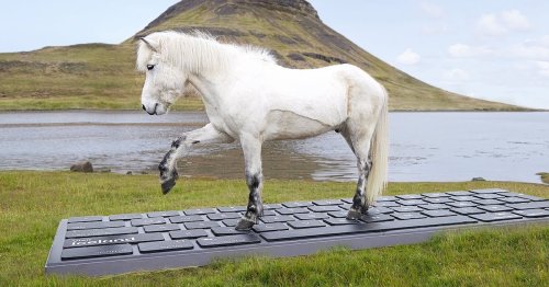 Iceland Has Horses That Will Respond To Work Emails on a Giant Keyboard While You’re on Vacation