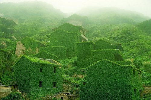 Abandoned Fishing Village in China Reclaimed by Nature