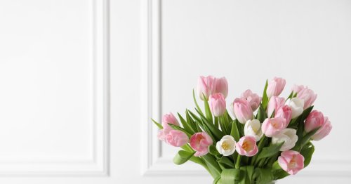 Nie wieder verwelkte Tulpen - mit diesem genialen Trick klappt es!