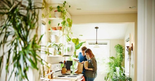 Diese 4 Pflanzen solltest du unbedingt in deiner Küche haben
