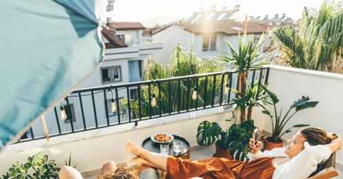 Sommerliche Oase: Diese 3 Pflanzen für den Balkon sind besonders pflegeleicht