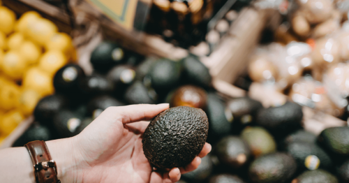 5 gesunde und nachhaltige Avocado-Alternativen