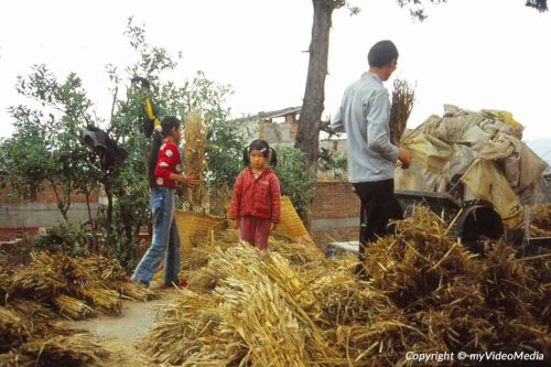 Landleben in Yunnan 2004 - China - Reise Video Blog