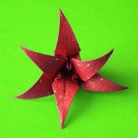 Origami Flowers app review: make beautiful works of art using just paper