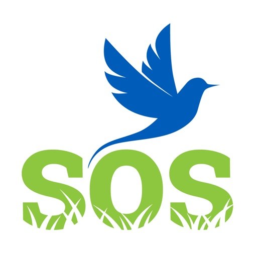 SOS Golf Swing, is the mobile App that helps you evolve your Golf Swing through a personalized video analysis every two weeks