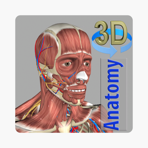 ‎3D Anatomy