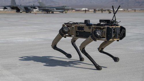 Israel kauft Roboter-Hunde für Kämpfe in Gaza
