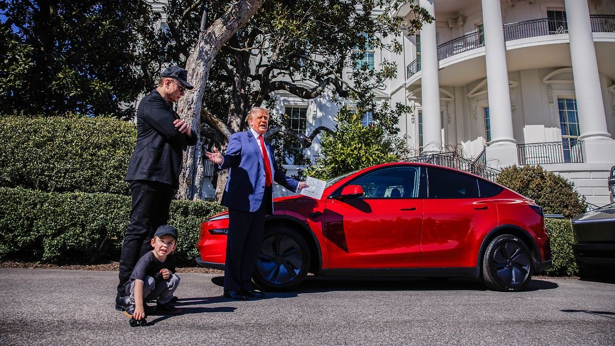 "Es gibt eine Chance, dass Musk in zwei Jahren im Gefängnis sitzt"