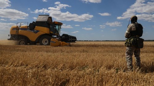 NASA: Kreml hat Weizen in Milliardenwert geraubt