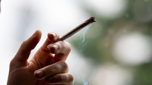 Cannabis-Freigabe widerspricht UN-Übereinkommen